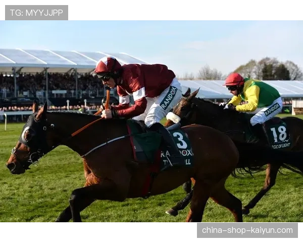 英国国家障碍大赛马现场：王室成员出席，为慈善机构募集善款